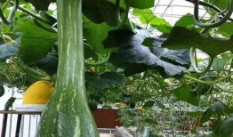 热点吃瓜.每日吃瓜,每日吃瓜，揭秘娱乐圈风云变幻